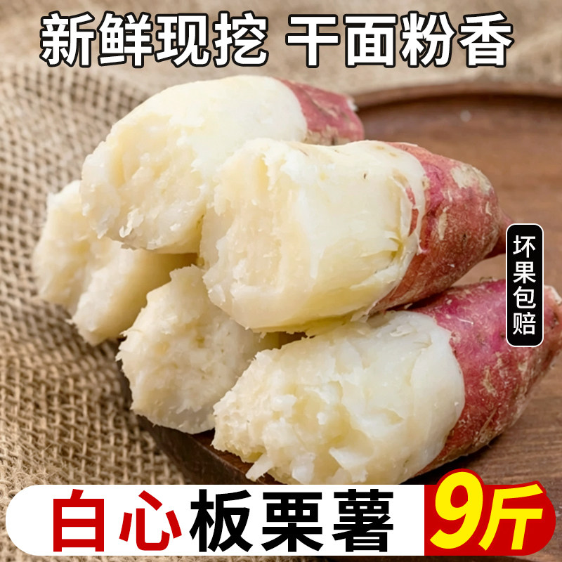 新鲜白心板栗红薯沙地白瓤