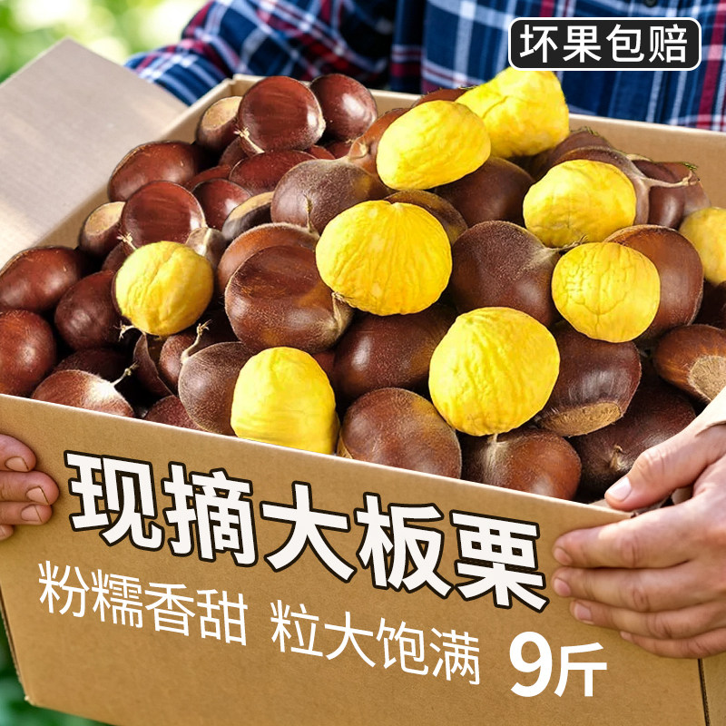 2026板栗生新鲜云南老树油栗