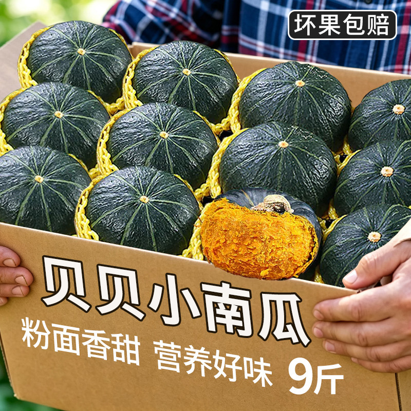 贝贝南瓜板栗味新鲜孕妇婴儿辅食