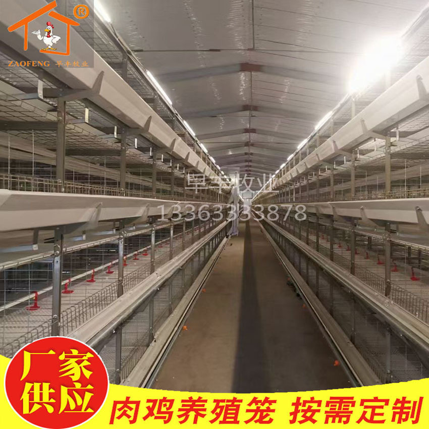 全自动肉鸡笼三层立体式出口标准供应鸡笼配件养殖立体养殖