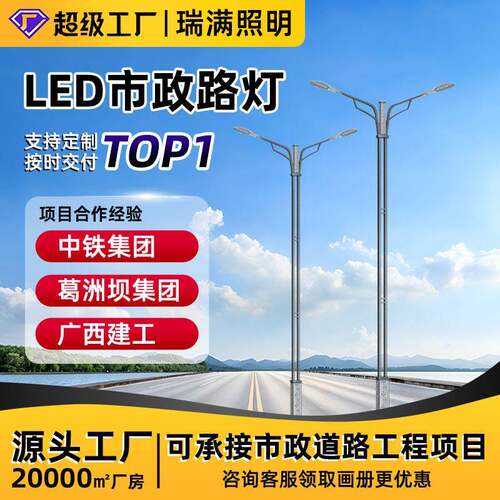 市政工程路灯杆灯新农村建设道路照明路灯户外防水LED热镀灯杆