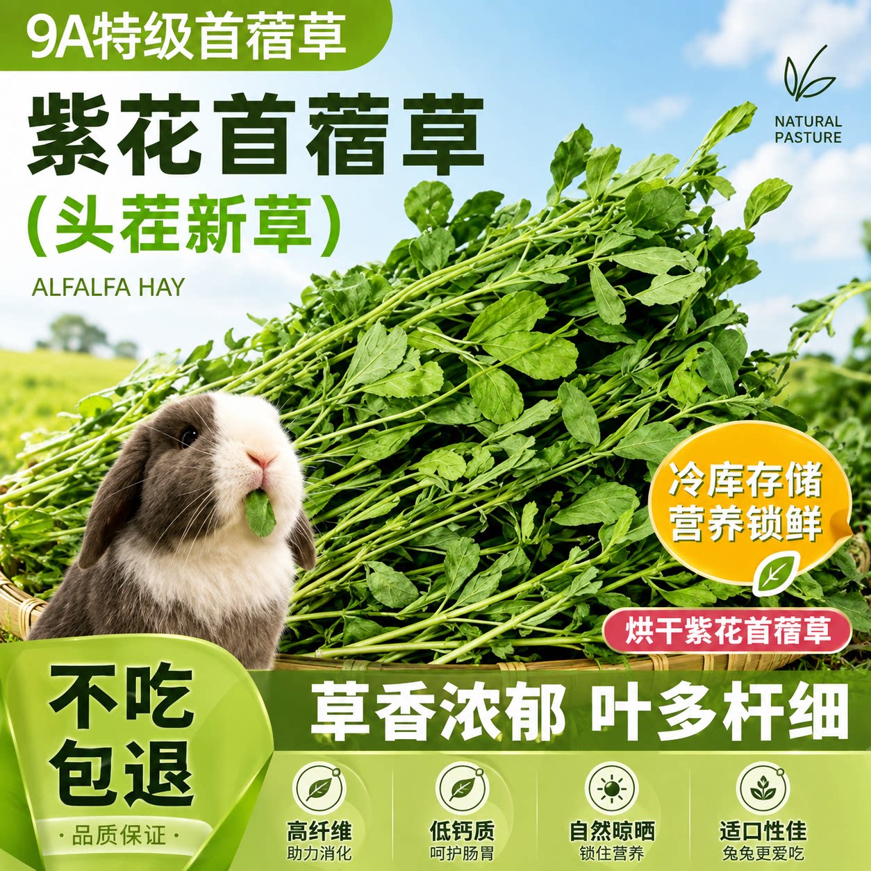 26年紫花苜蓿草兔子专用苜蓿草幼兔叶多杆细冷库保鲜豚鼠兔子吃的