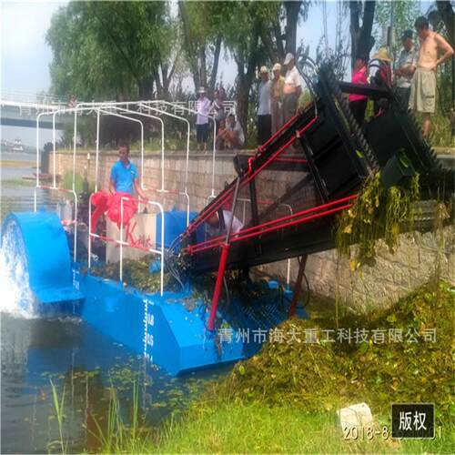 械水草清理收割船水生植物收割打捞机捞草SLA打船生产厂家捞船