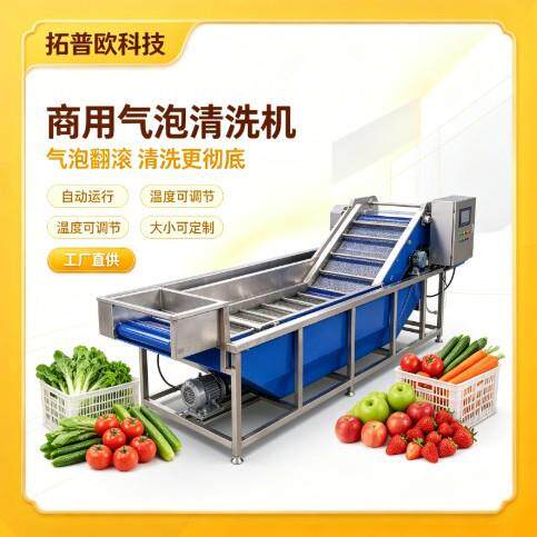 大型全自动气泡清洗线蔬菜水果效清洗加工设备源头厂家供应