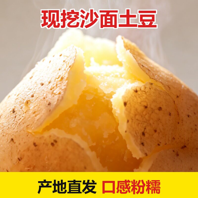 甘肃定西黄心沙面土豆图片