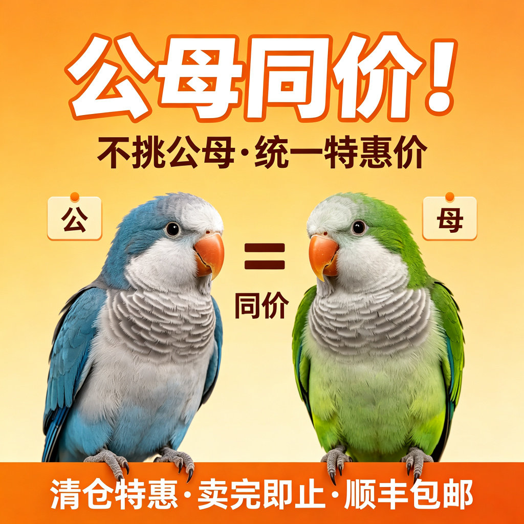 【清仓】和尚鹦鹉活体手养蓝绿和特种养殖鸟类宠物