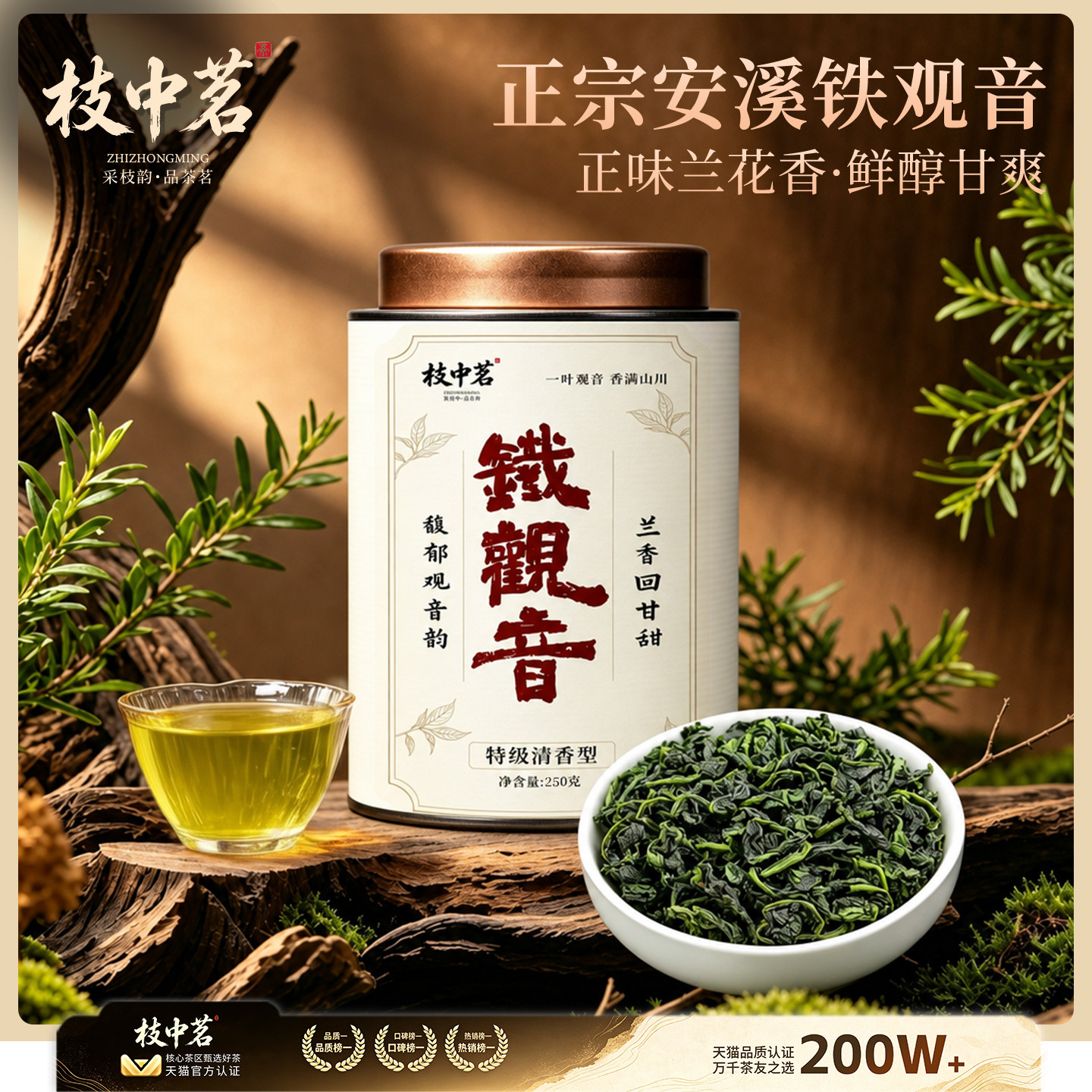 枝中茗2026新茶铁观音浓兰花香特级清香型安溪乌龙茶茶叶罐装500g