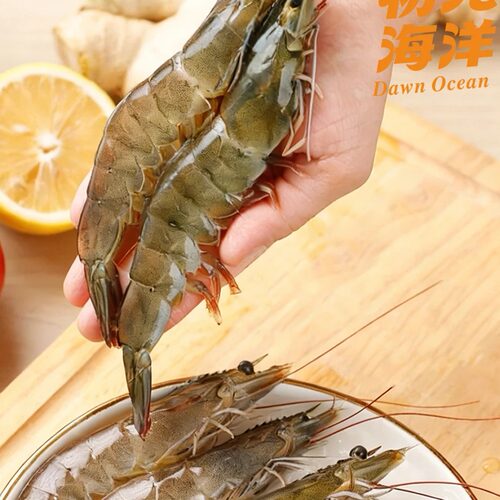 冻生南美白虾