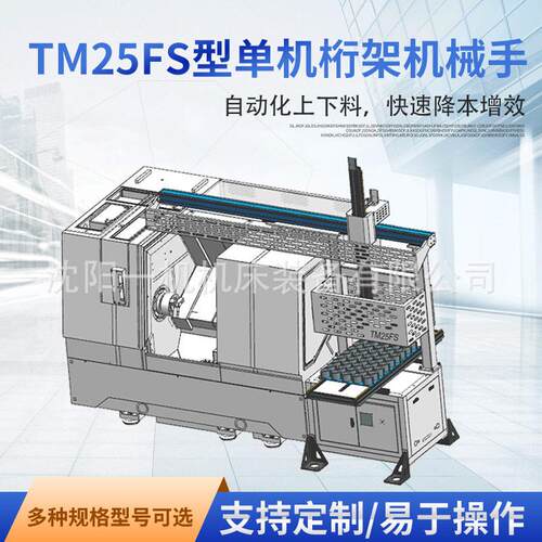 TM25FS型 机桁架机械手（伺服A轴，下Y轴）承重2-8KG可选