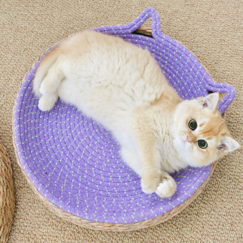 猫抓板窝磨爪猫爪板耐磨蒲草棉绳不掉屑猫窝抓盆一体猫咪用品玩具