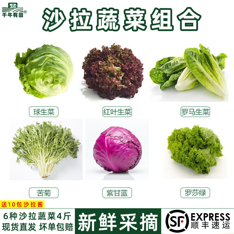 混合沙拉菜轻食健身新鲜蔬菜