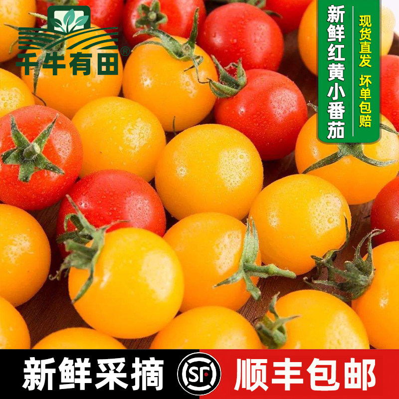 樱桃小番茄圣女果小西红柿沙拉