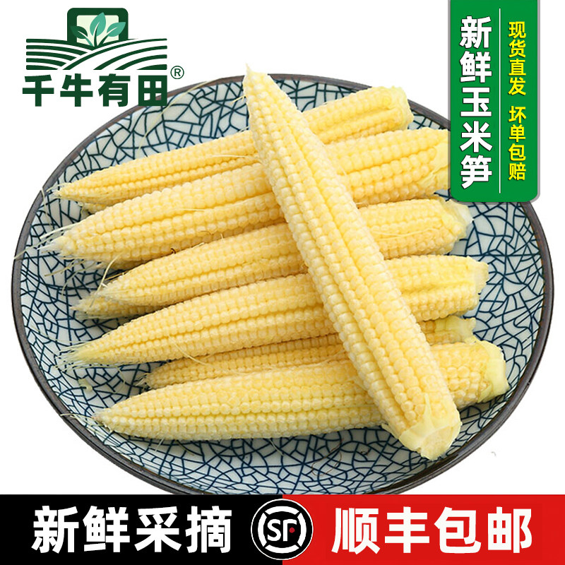 新鲜去皮迷你甜玉米笋沙拉煲汤