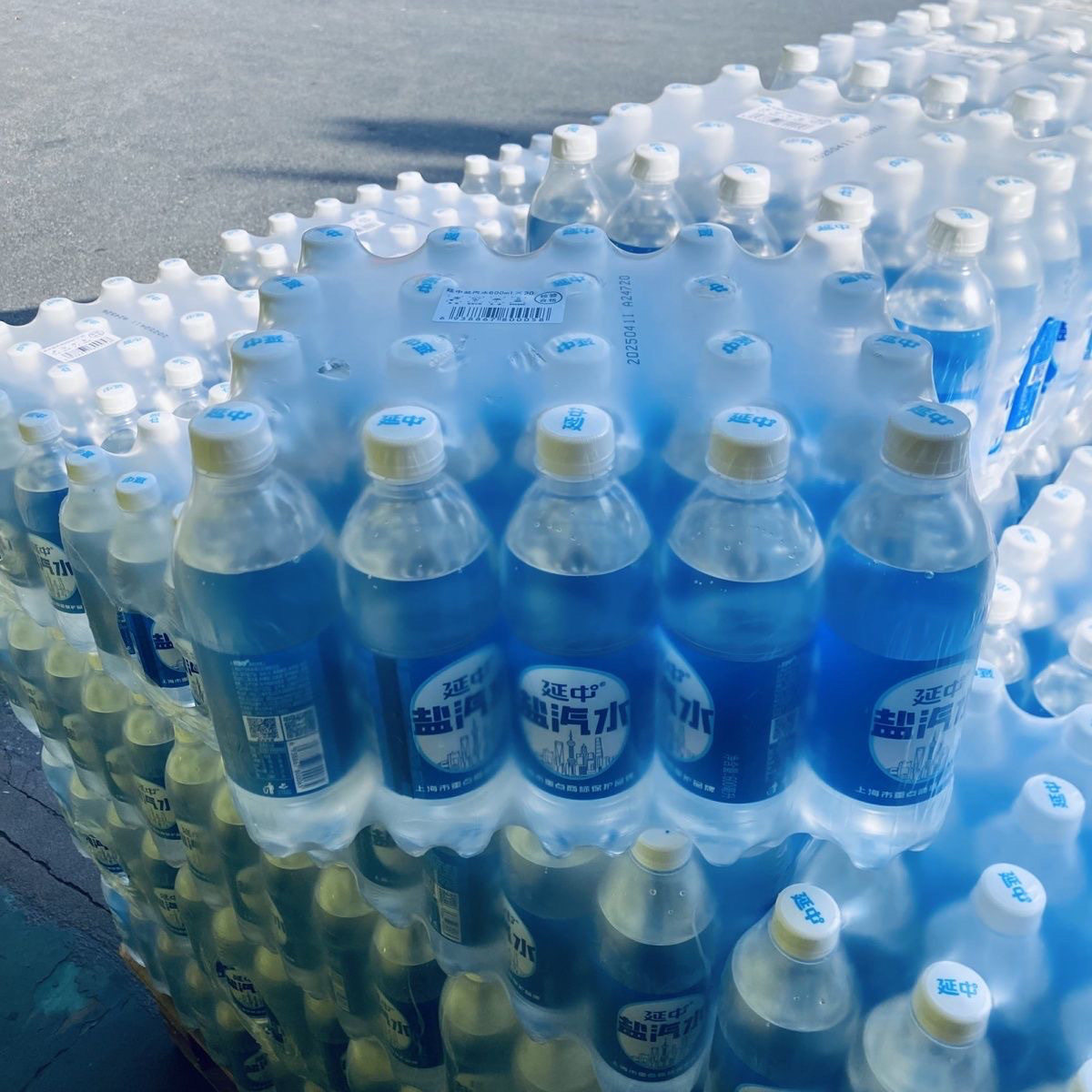10箱 延中盐汽水600ml*20瓶整箱 上海送货上门