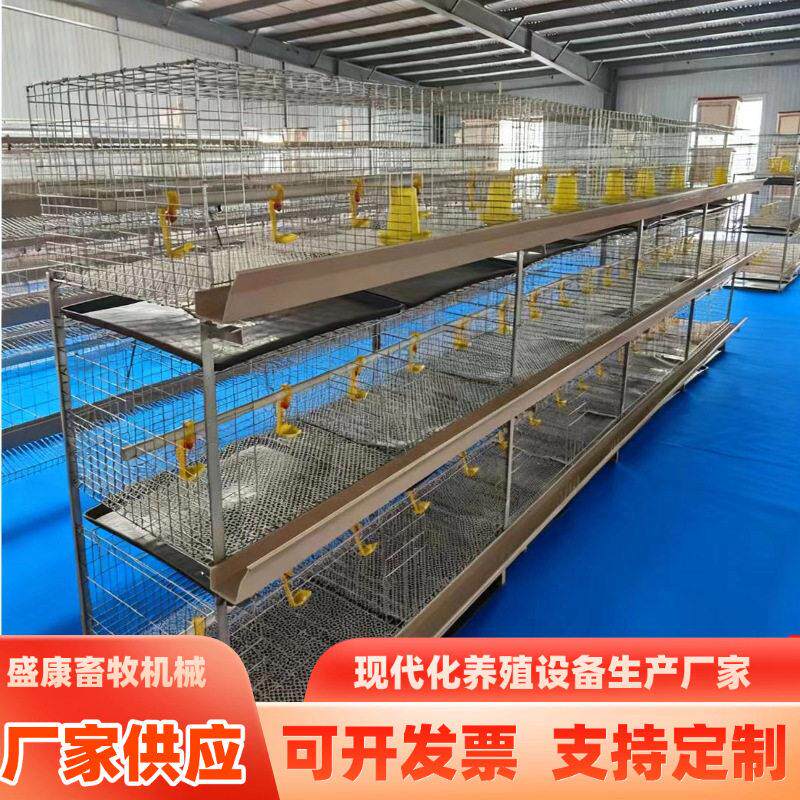 框架肉鸡笼后镀锌雏肉鸡两用三层鸡笼肉鸡蛋鸡养殖鸡笼H型肉鸡笼