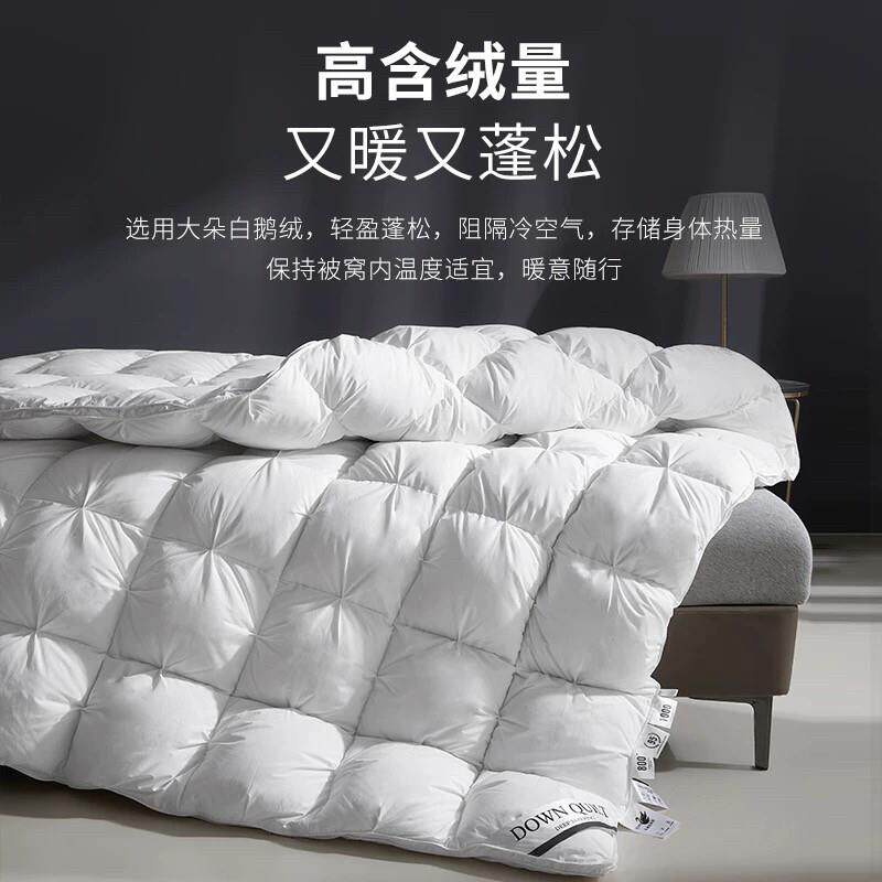 鹅绒被匈牙利白鹅绒被子五星级酒店100%羽绒春秋被芯家用冬被