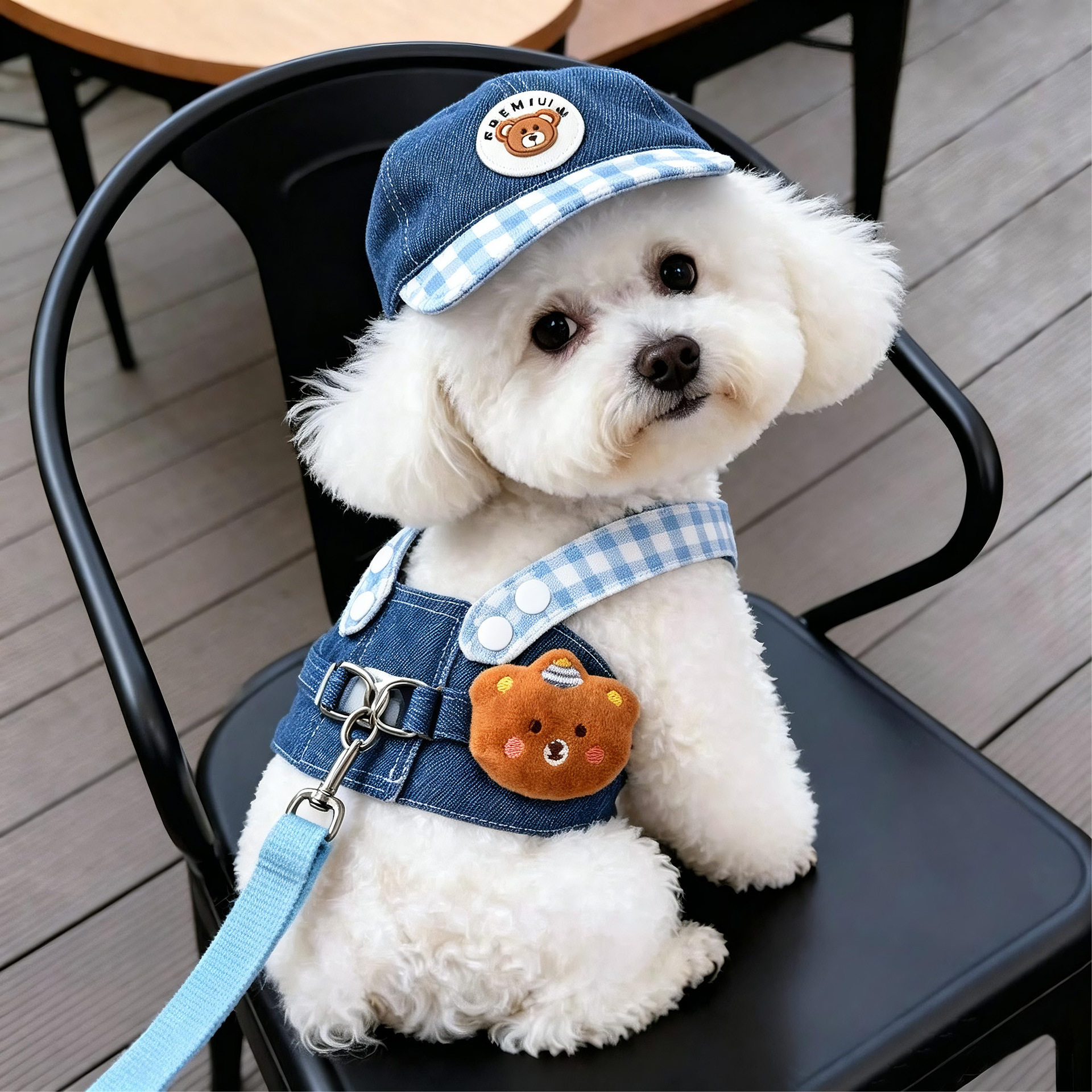狗狗衣服2026新款牛仔胸背套装可爱遮阳帽子猫狗外出专用宠物牵引