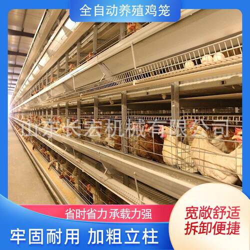蛋鸡笼鹌鹑笼肉鸡H型笼自动层叠式肉鸡A型笼半自动立体镀锌鸽子笼