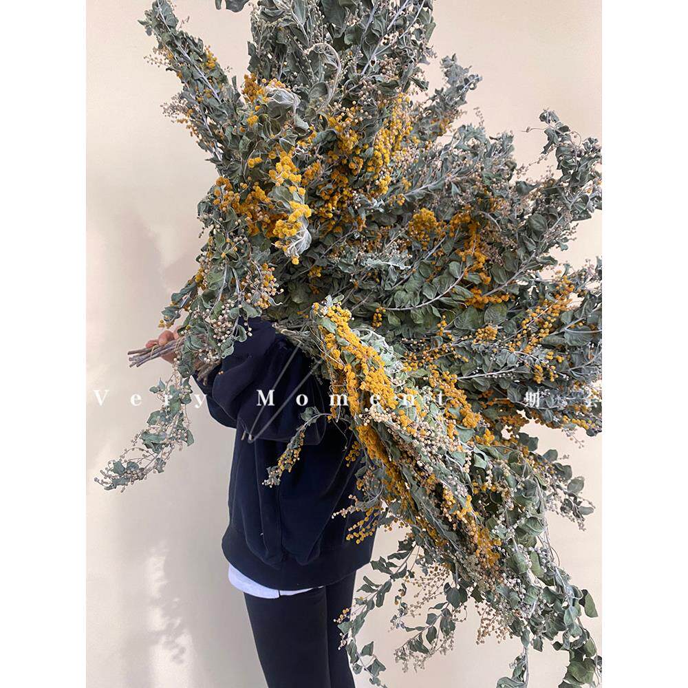 天然干花圣诞花金合欢森系覆古北欧装饰花材家居花艺插花拍照道具