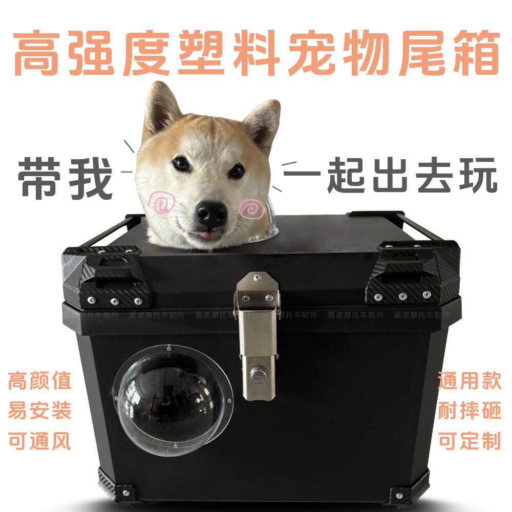 定制摩托宠物猫狗尾箱比熊泰迪雪纳瑞西高地柴犬博美电动车后备箱