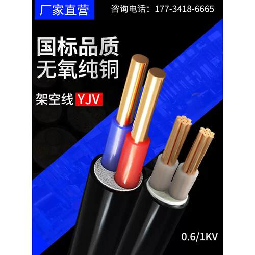 Yjv电缆国标纯铜护套线2 3 5芯4 10 16 25 6平方米室外充电桩线
