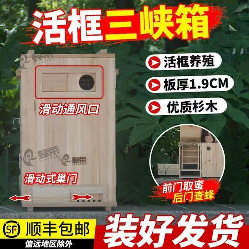 成品颠倒活框蜂箱土养三峡立式成品蜂箱带巢框诱蜂桶活框养蜂桶