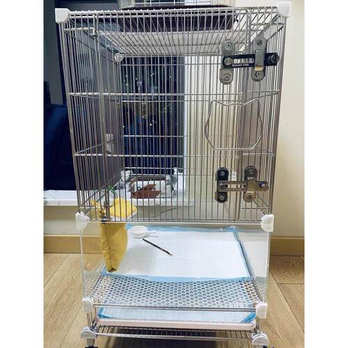 DiY 不锈钢魔片笼蜜袋鼯松鼠龙猫鸟飞鼠专用宠物繁殖笼专用饲养笼