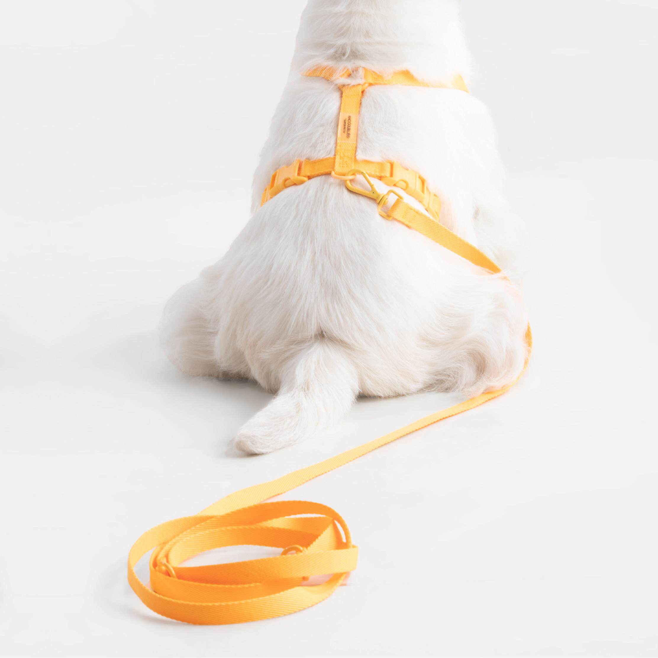 毛狗蓝猫狗蓝中小犬可调i型束带幼犬背心户外牵引绳