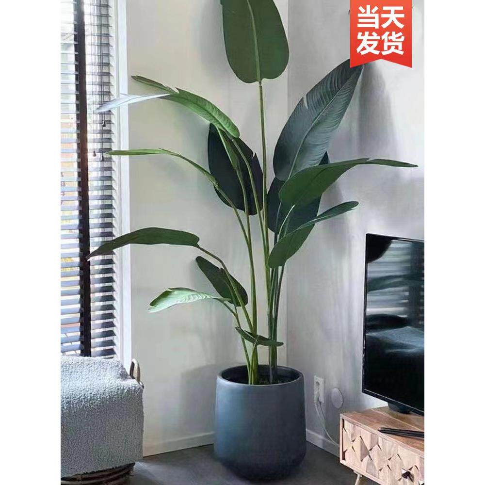 采购产品模拟绿色植物，假植物，旅行者，香蕉，大型盆栽插花，室