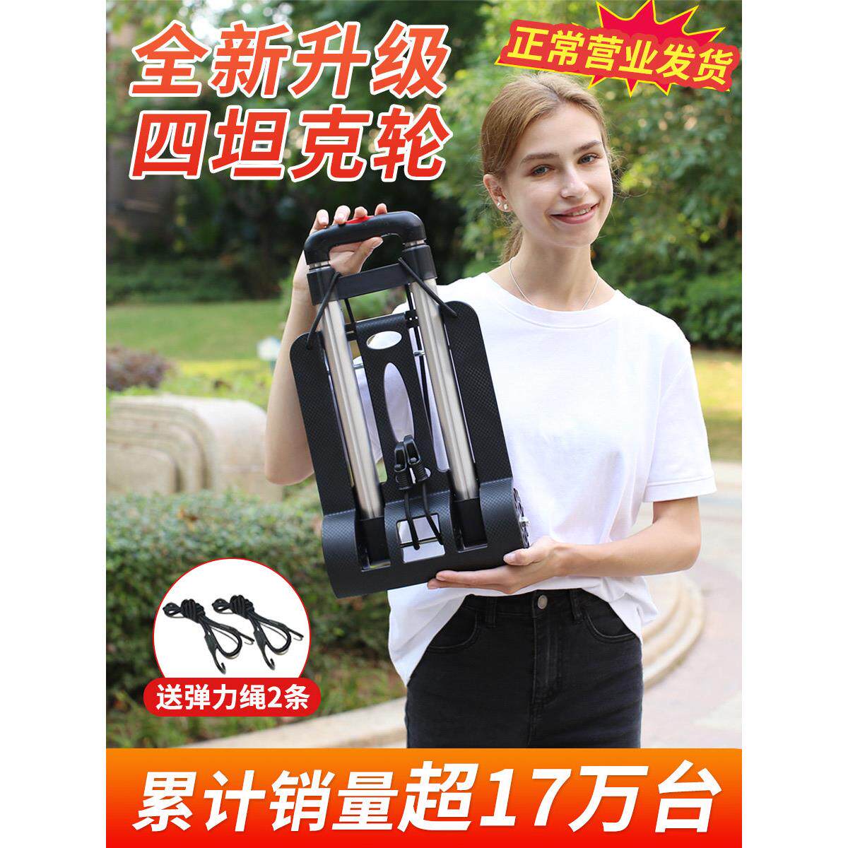 德国进口世博折叠便携手拉车购物推车拉货拉杆车行李拖车家用买菜