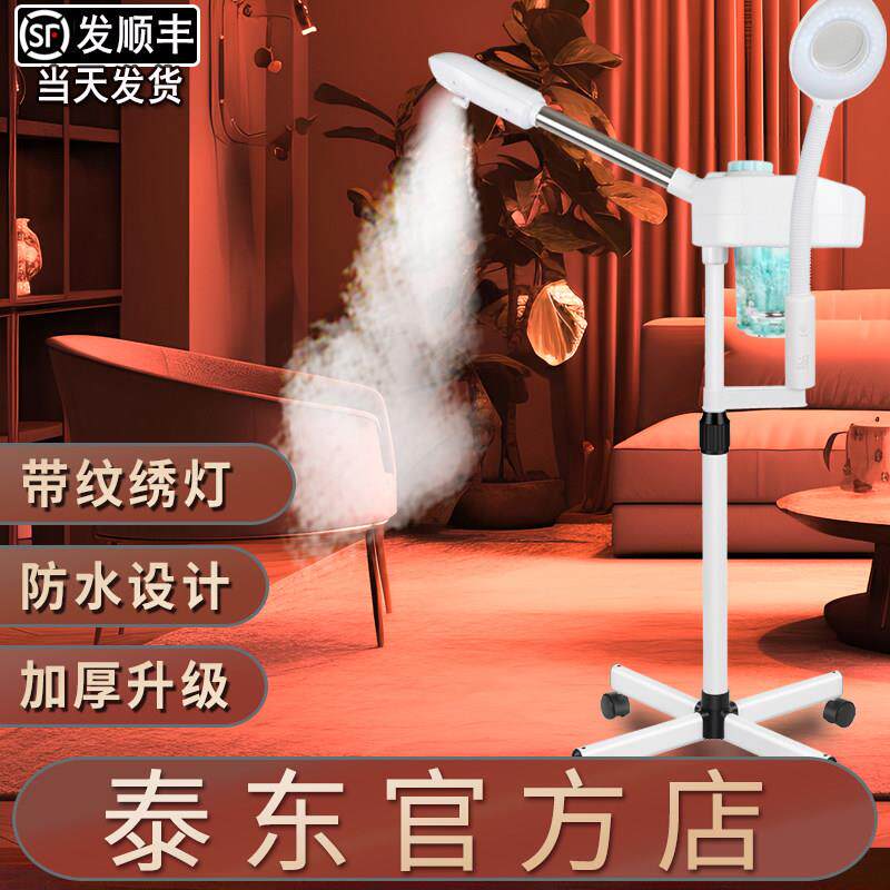 泰东蒸脸器保湿热喷仪美容院专用机美容院喷雾机家用脸部蒸气机