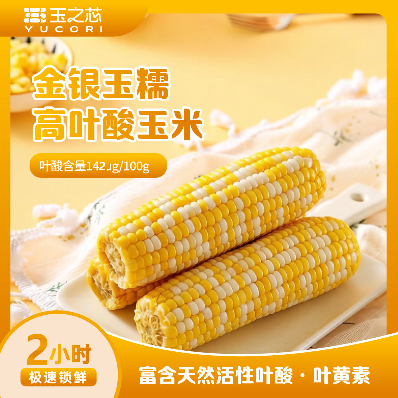玉之芯高叶酸玉米东北种植