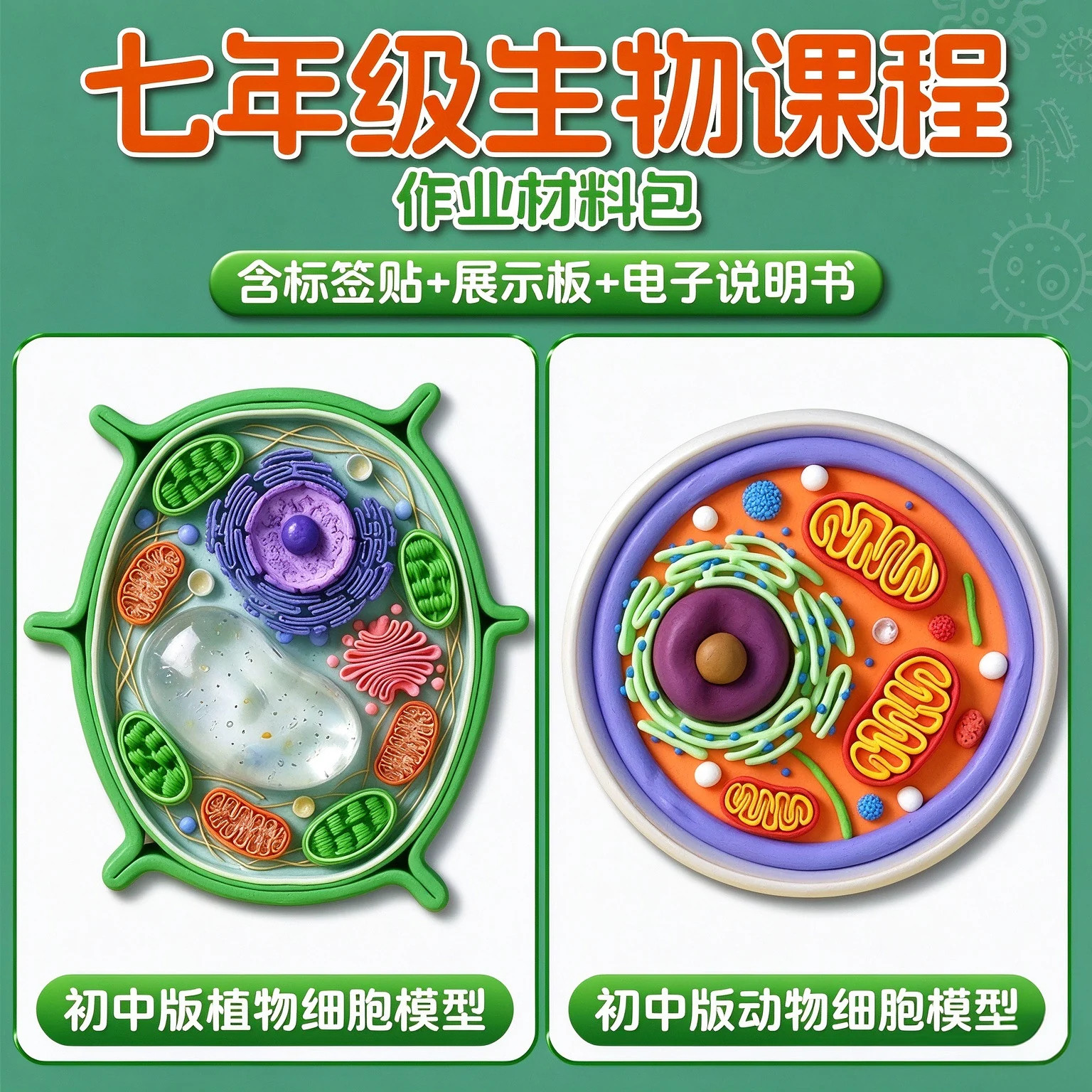 2026新款七年级生物植物细胞模型制作材料动物真核细胞壁3d模型