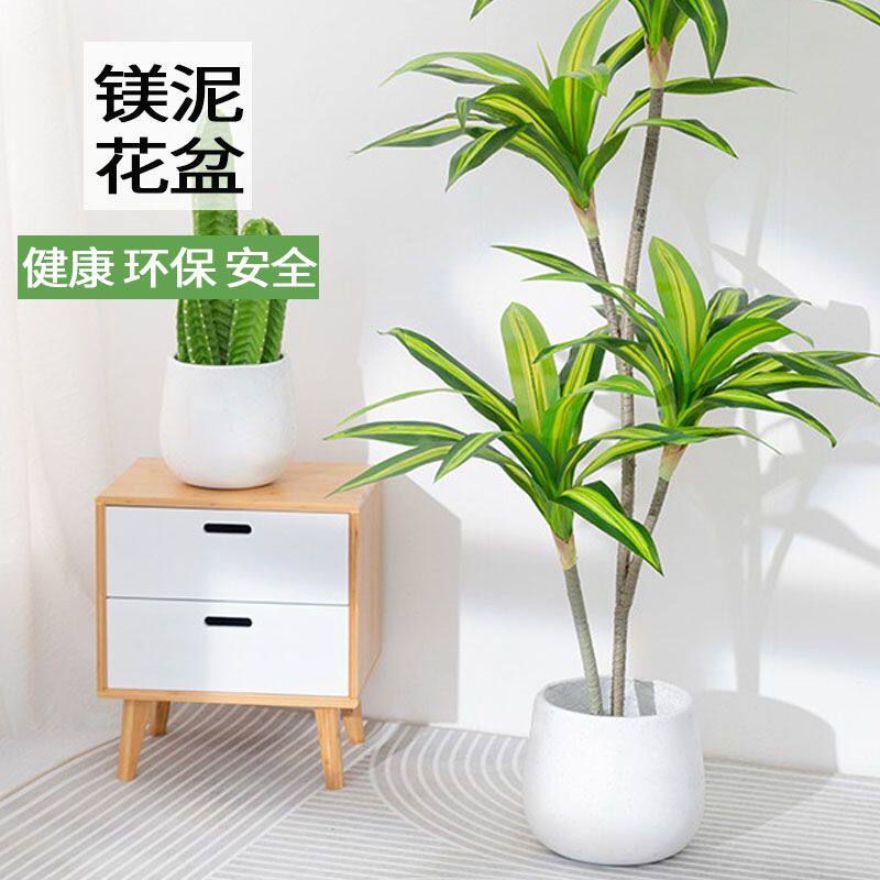 新款水泥花盆北欧风创意酒杯圆形简约盆栽摆件发财树大号镁泥花盆