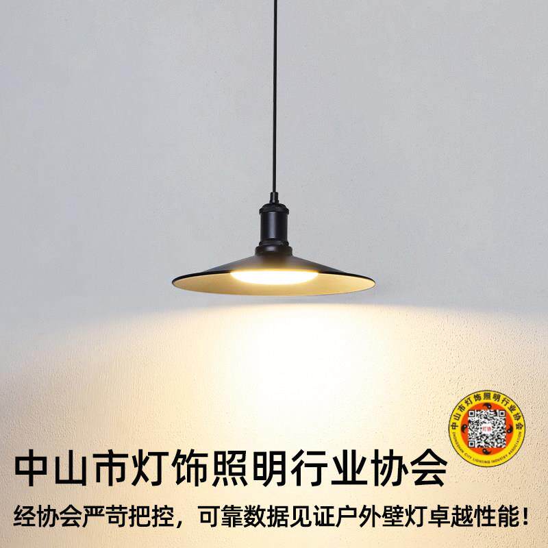 户外吊灯防水雨子门头庭院屋簷露台亭温室室外走凉廊棚亭照SYJYDX