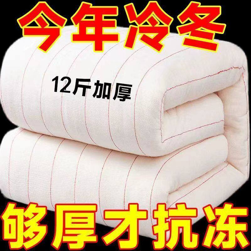 棉被保暖冬季被褥单人床垫褥子双人棉胎棉絮垫被加厚新疆被子棉花