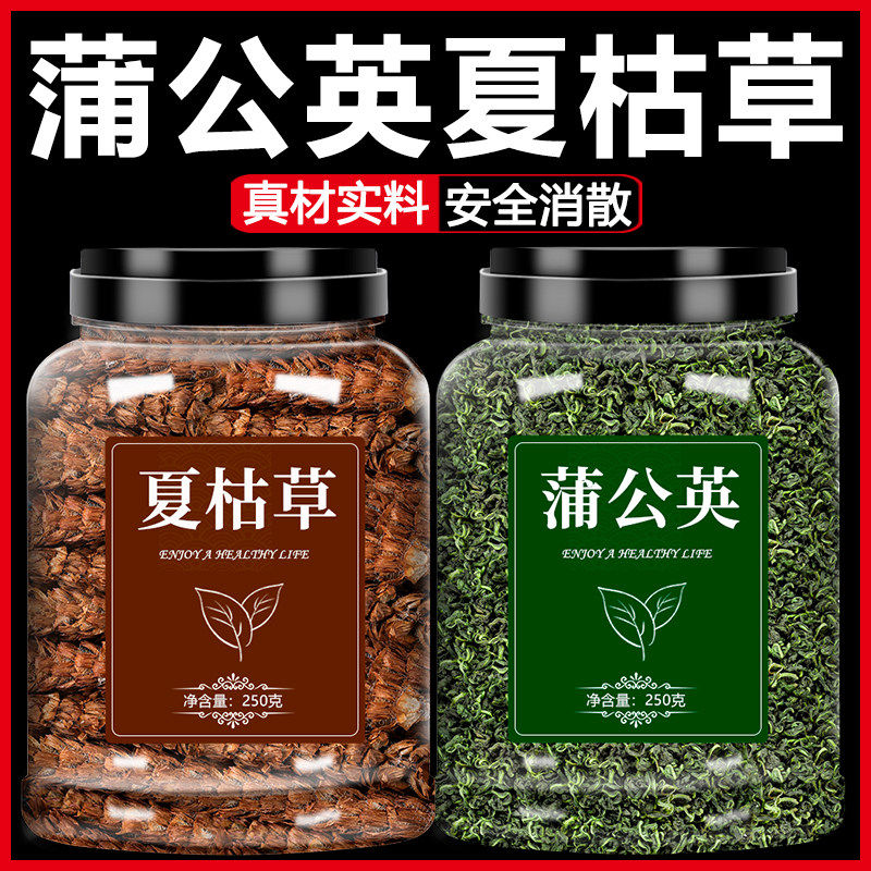 夏枯草蒲公英散结茶官方正