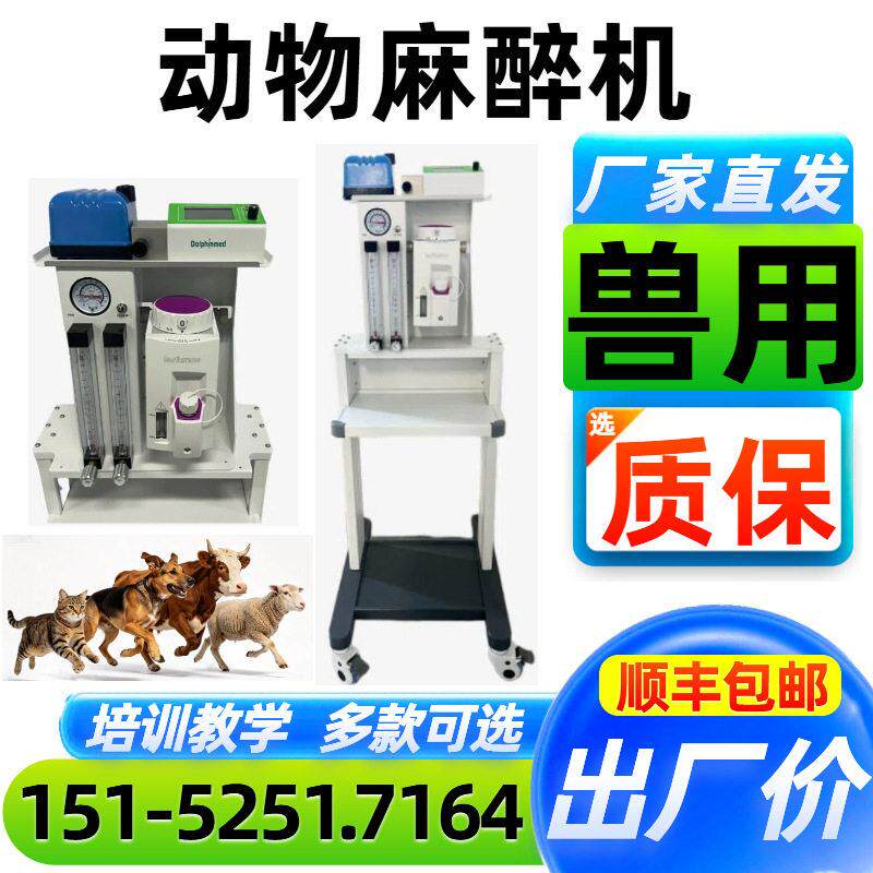 宠物麻醉机生产厂家 大动物麻醉呼吸机 适用于犬、猫、猪、猴等
