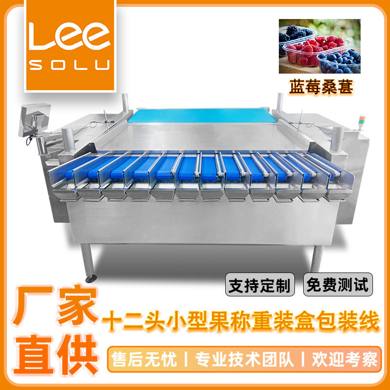蓝莓装盒机小型水果称重装盒包装线蓝莓桑葚颗粒包装机