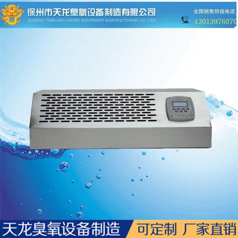 壁挂式臭氧机10g 臭氧设备消毒杀菌净化空气 厂家直销臭氧发生器