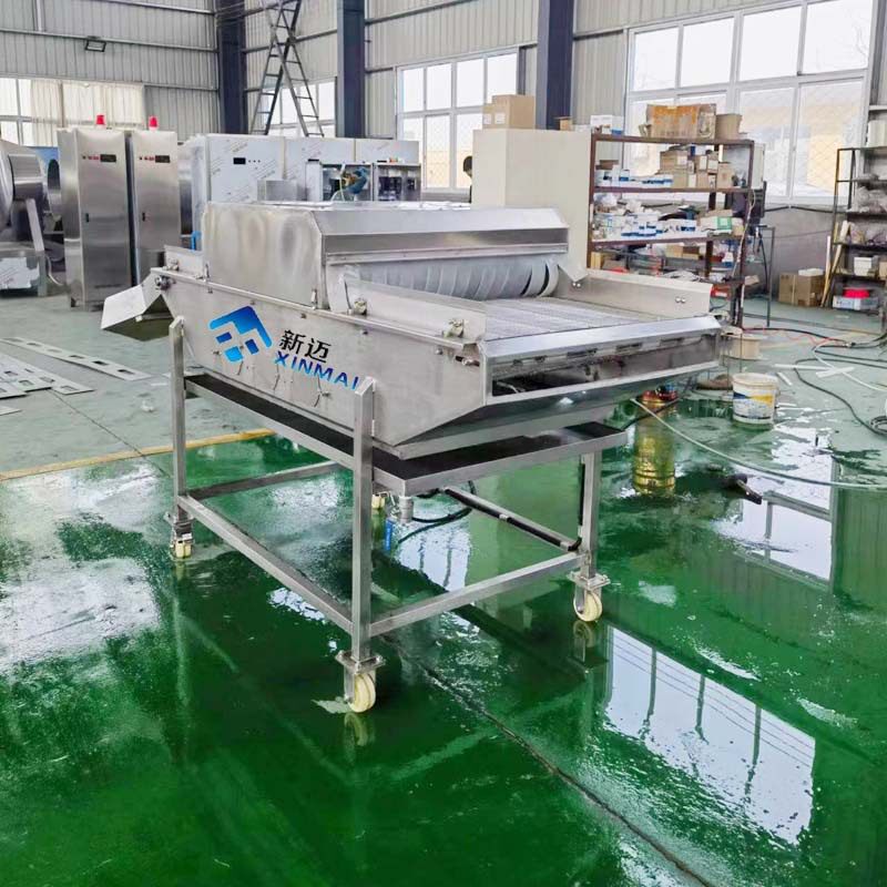 小型龙虾尾虾仁挂冰机水产鱼类包冰流水线全自动挂冰机海参挂冰机