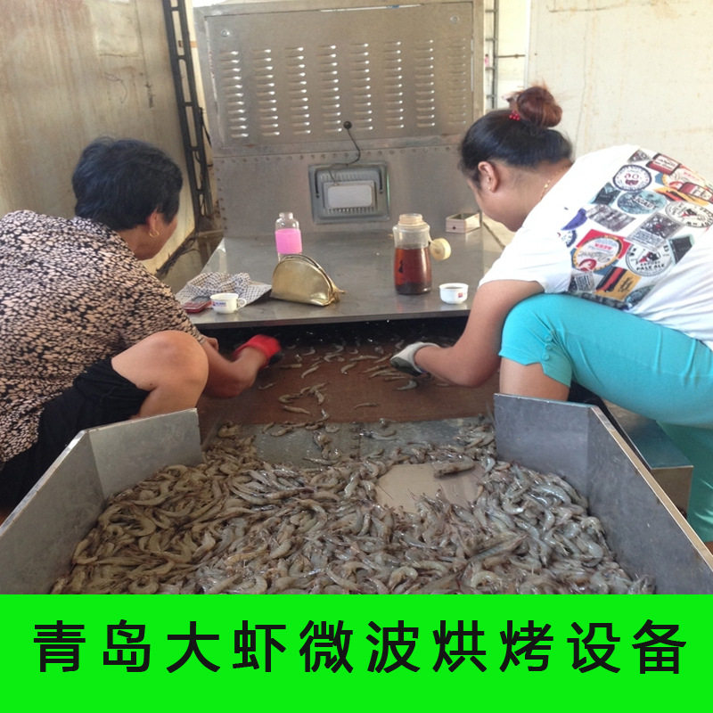 烘干机厂家直供浙江烤虾微波设备HQMW-60隧道式微波海虾杀菌熟化