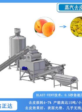 鑫正达黄桃全自动蒸汽去皮机 果蔬多功能去皮设备
