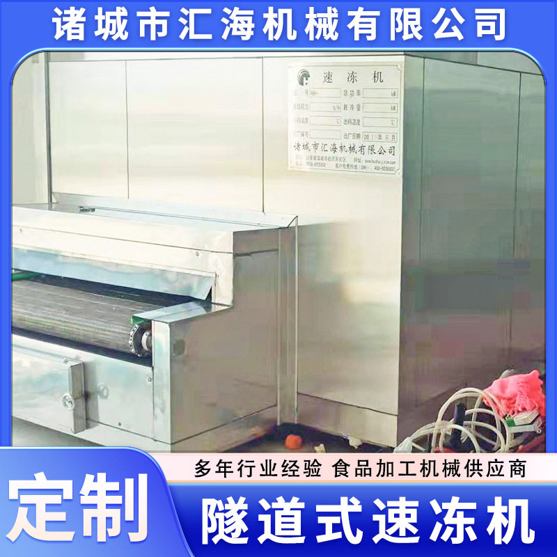 鱿鱼圈连续速冻设备液氮果蔬锁鲜低温快速冷冻机隧道式速冻机
