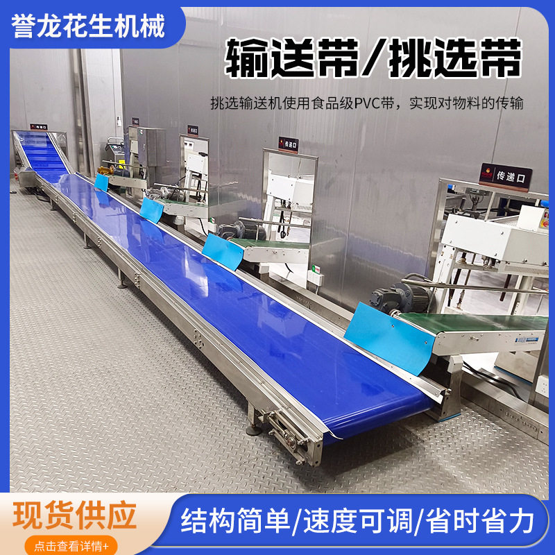 花生生产线配套挑选输送机PVC输送带食品行业各种颗粒物品输送带