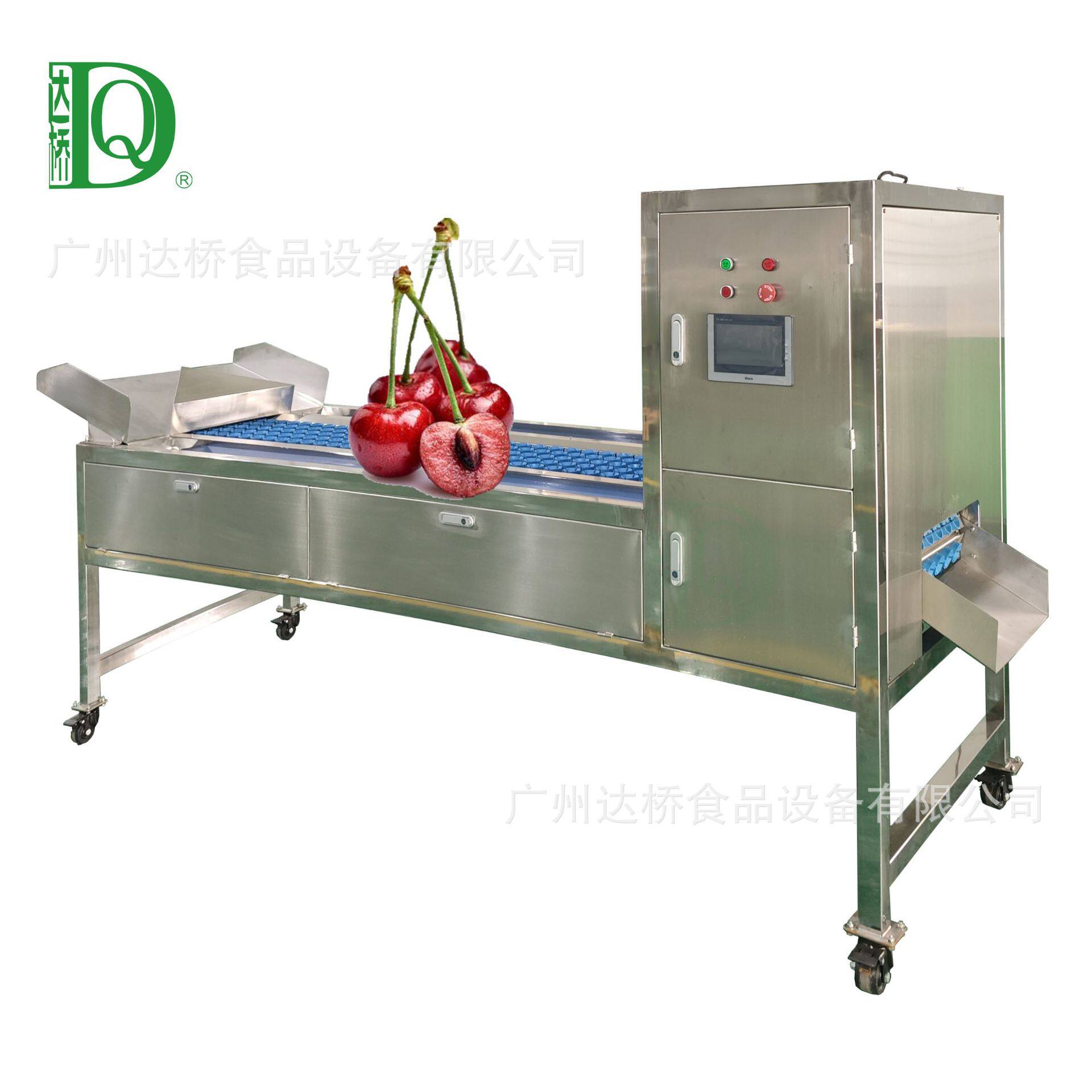 DQ达桥源头工厂工业型樱桃去核机商用樱桃加工解决方案304不锈钢