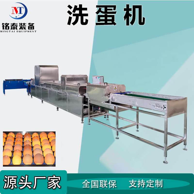蛋类清洁杀菌流水线鸡蛋上蛋清洗风干光检养殖场禽蛋去泥洗蛋机