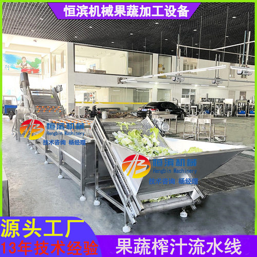 果蔬加工生产线刺梨榨汁提取流水线设备植物花叶原汁提取压榨机