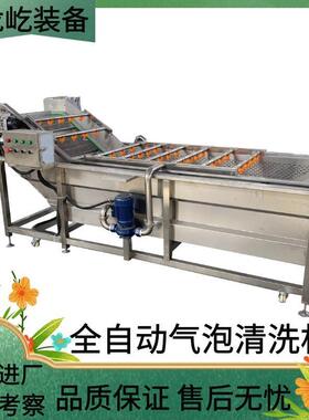 果蔬气泡清洗机黄桃气泡清洗机水果清洗蔬菜清洗机多用途清洗机