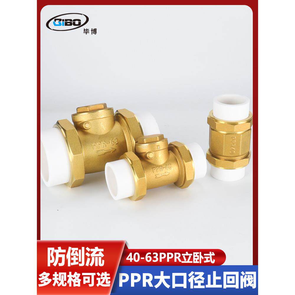 止回阀ppr铜卧立式双活接防回流自来水管表 dn40/50/63逆止单向阀
